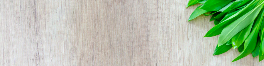 tabla de madera hojas upsplash