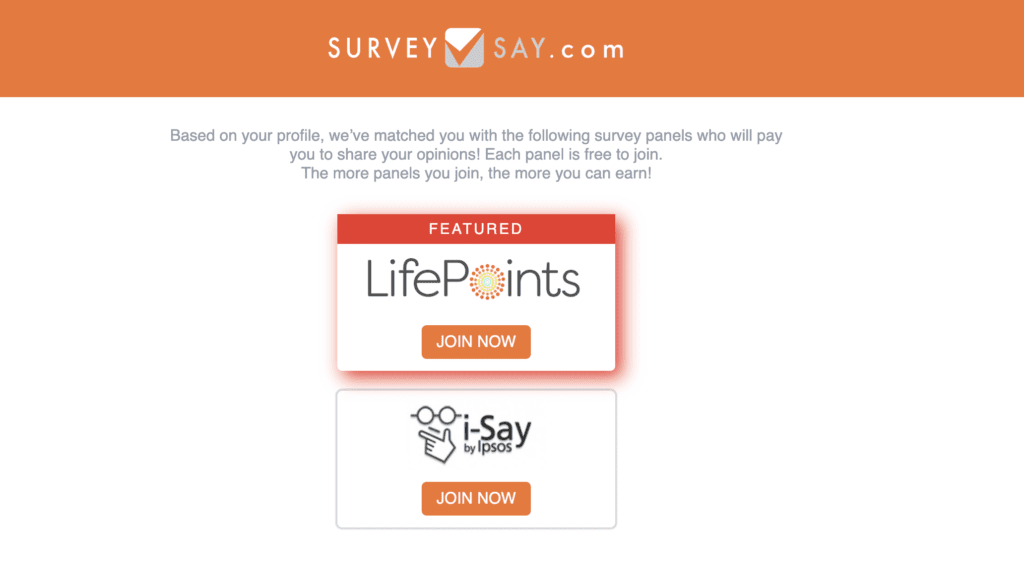 surveysay lifepoints e isay