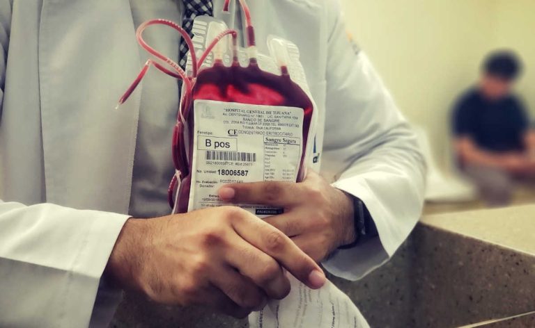 Cómo donar sangre por dinero y ganar hasta $ 500 por mes