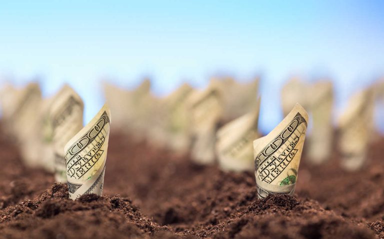Como ganar dinero cultivando la tierra