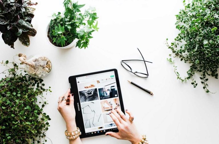 Las 15 mejores ideas de negocios verdes para comenzar