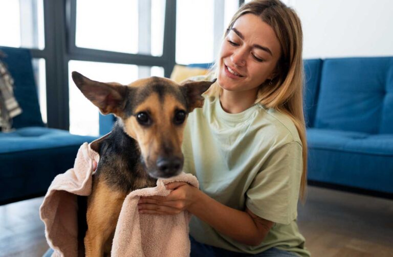 Gana $12,000 al Año Cuidando Perros Desde Casa